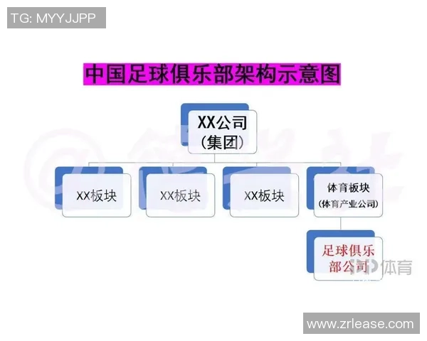 深圳足球队实力对比深度解析与未来发展趋势探讨